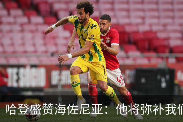 哈登盛赞海佐尼亚：他将弥补我们上赛季的不足之处