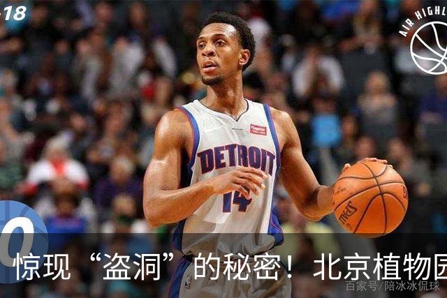 惊现“盗洞”的秘密！北京植物园里原是它的家园