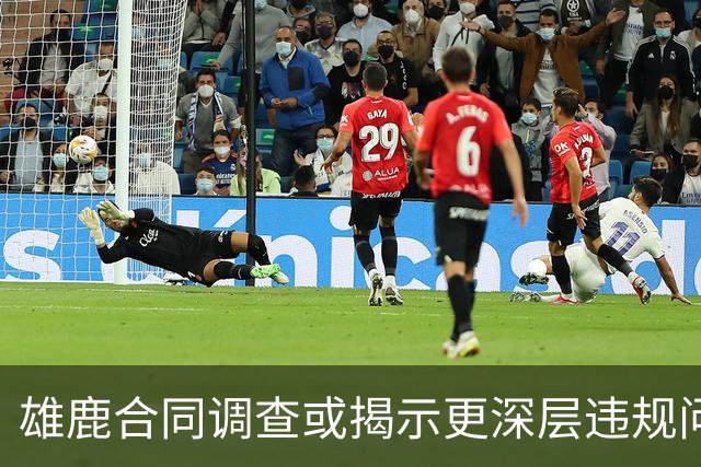 雄鹿合同调查或揭示更深层违规问题